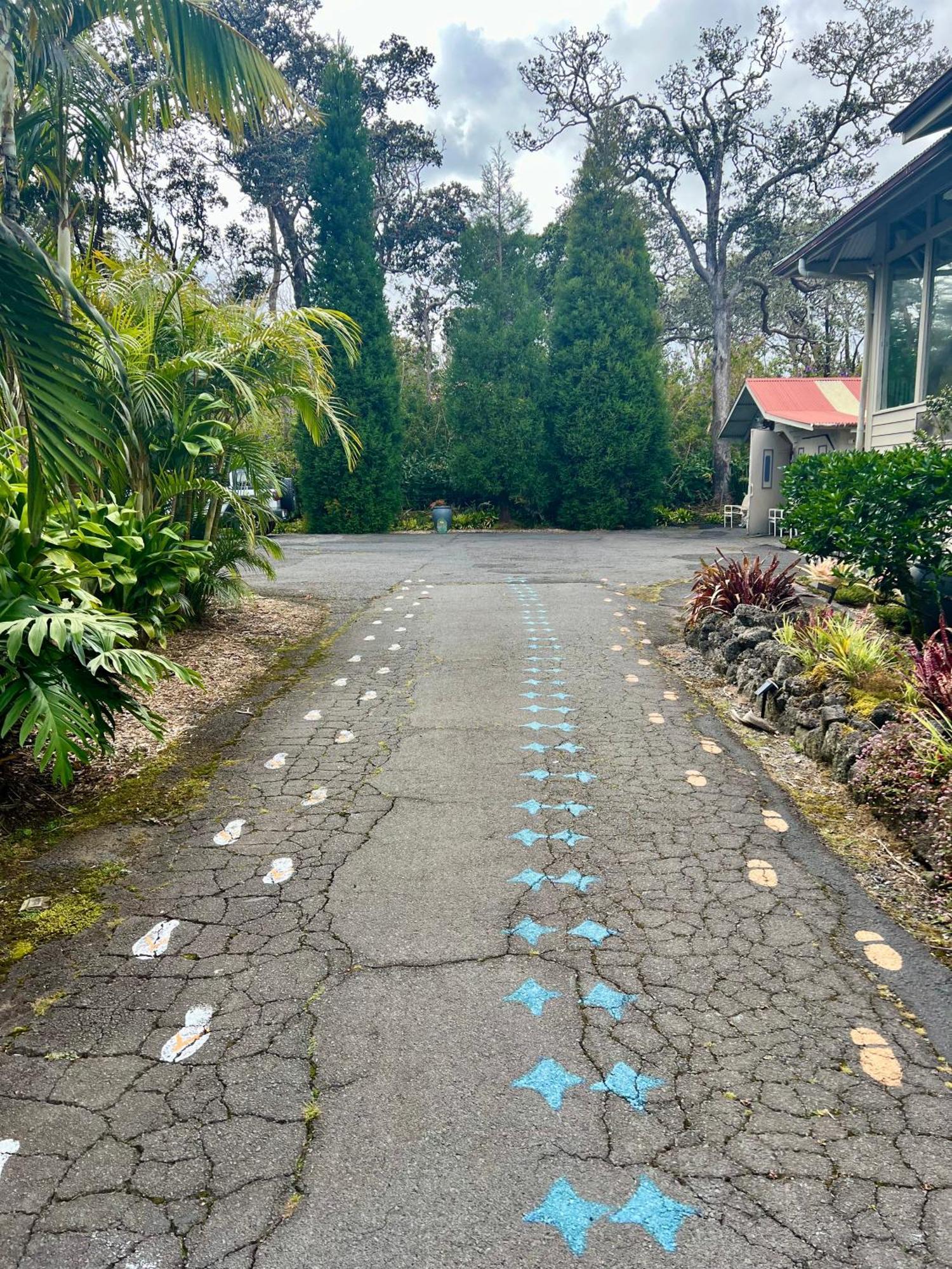 Aloha Junction Bed And Breakfast -Minutes Away From Hawaii Volcanoes National Park Buitenkant foto