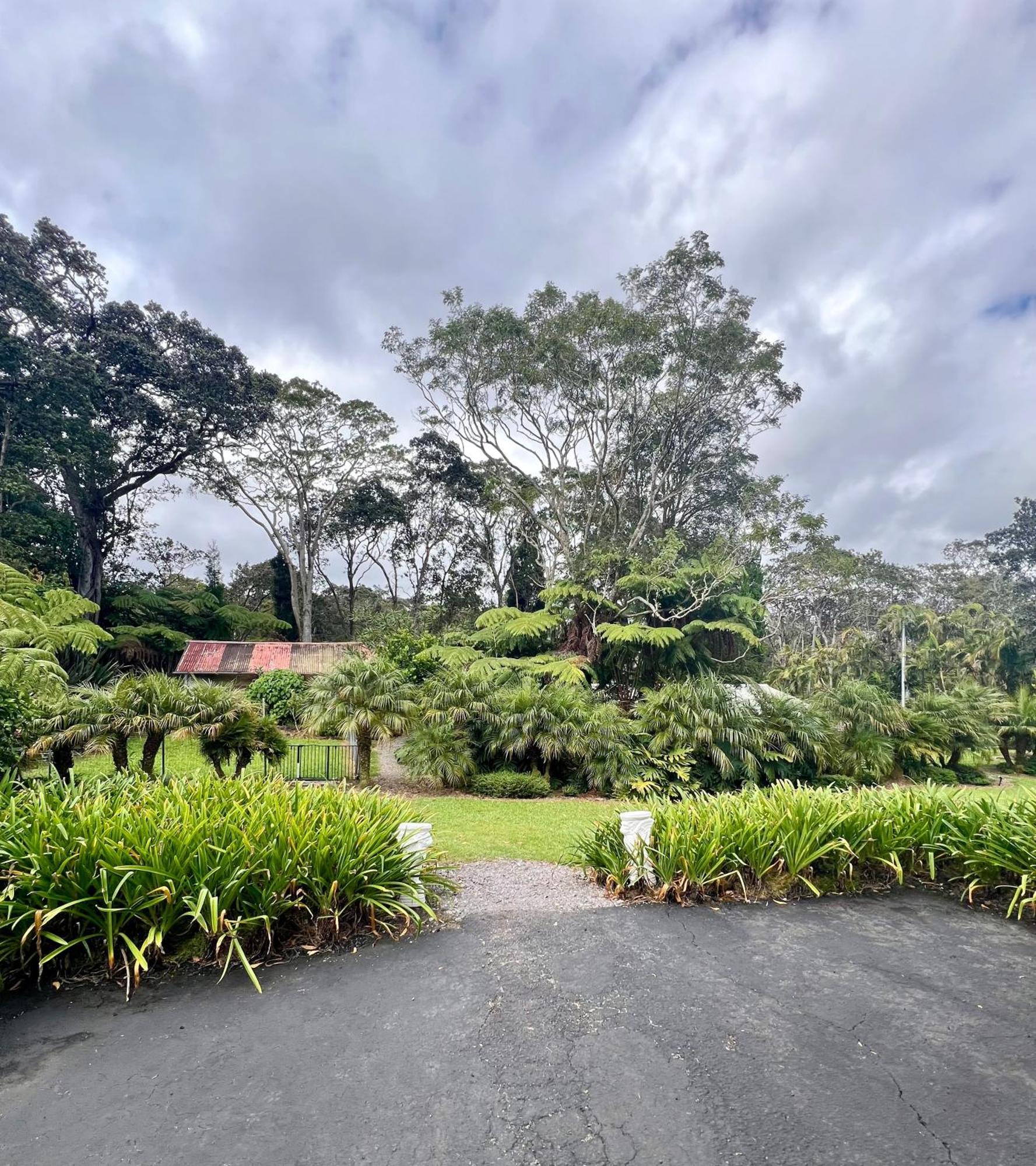 Aloha Junction Bed And Breakfast -Minutes Away From Hawaii Volcanoes National Park Buitenkant foto