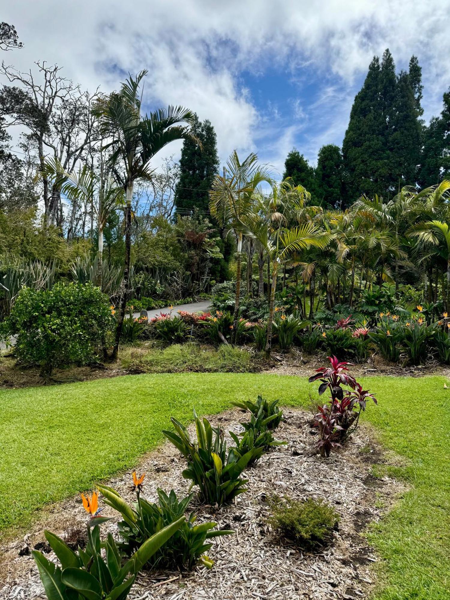 Aloha Junction Bed And Breakfast -Minutes Away From Hawaii Volcanoes National Park Buitenkant foto
