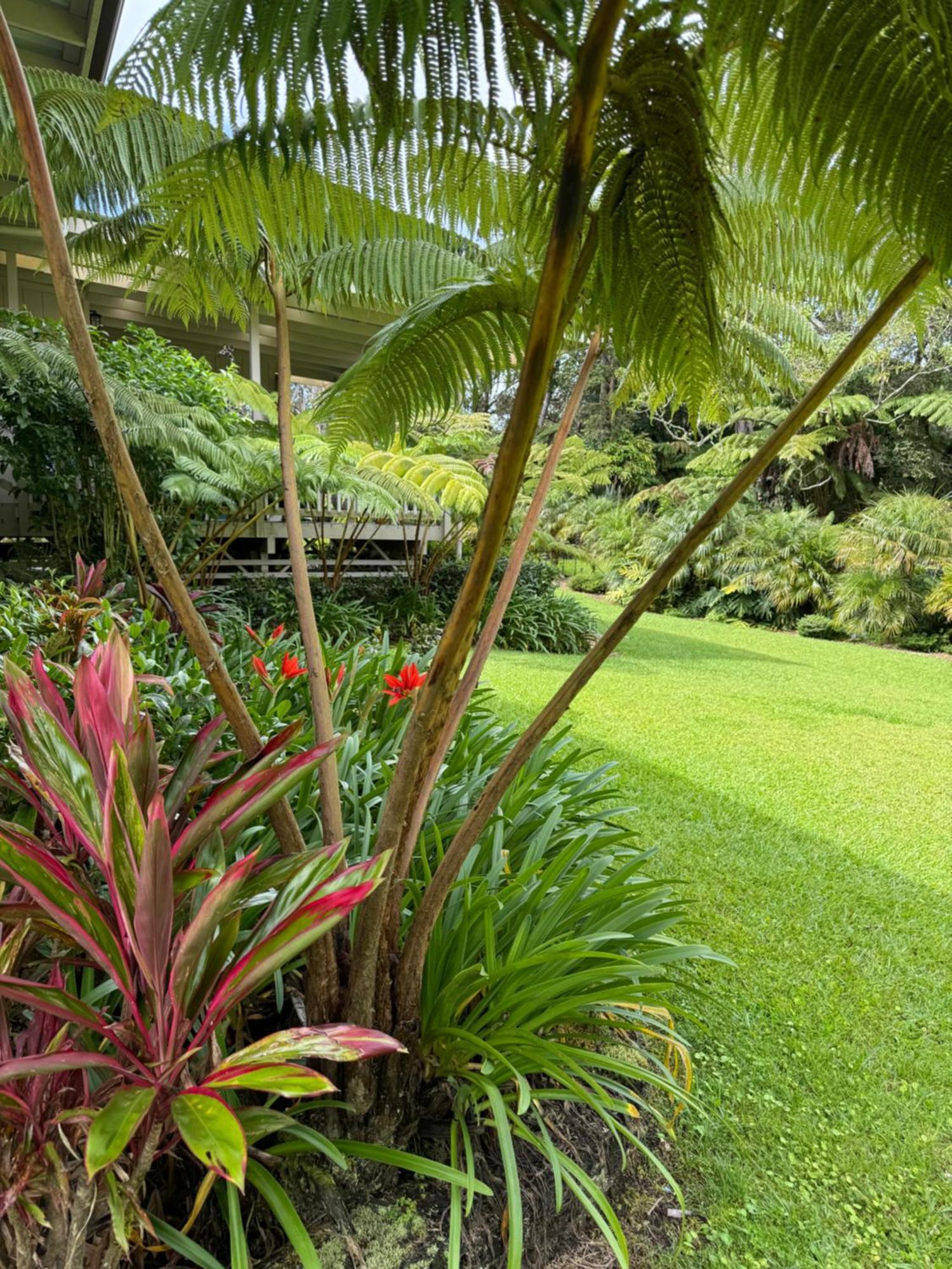 Aloha Junction Bed And Breakfast -Minutes Away From Hawaii Volcanoes National Park Buitenkant foto