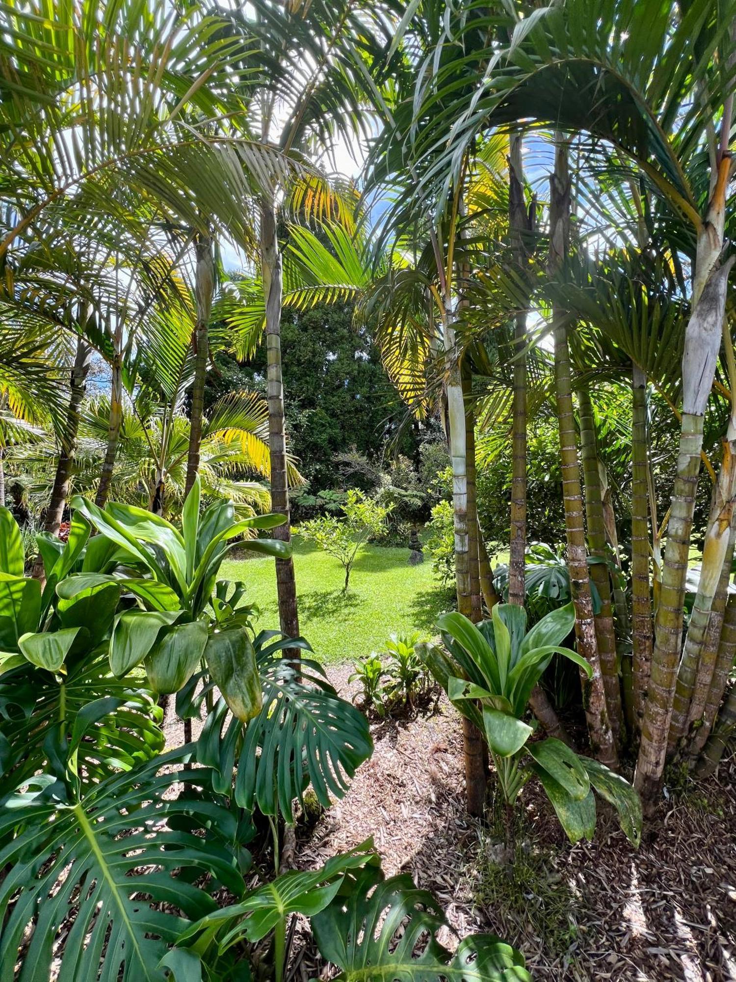Aloha Junction Bed And Breakfast -Minutes Away From Hawaii Volcanoes National Park Buitenkant foto