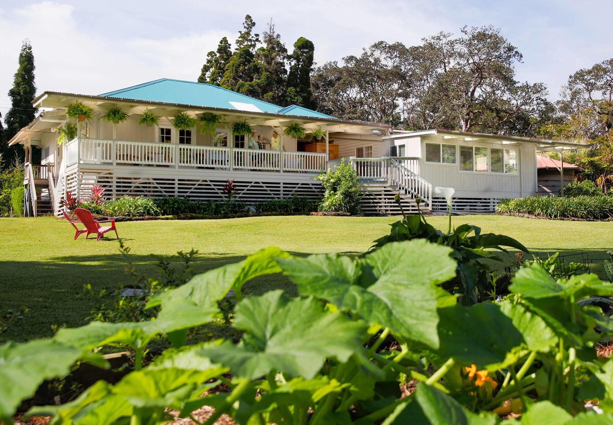 Aloha Junction Bed And Breakfast -Minutes Away From Hawaii Volcanoes National Park Buitenkant foto